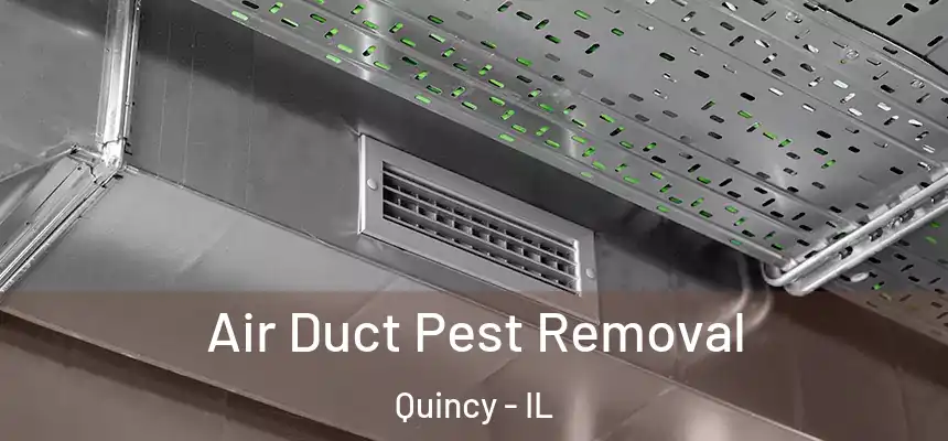  Air Duct Pest Removal Quincy - IL
