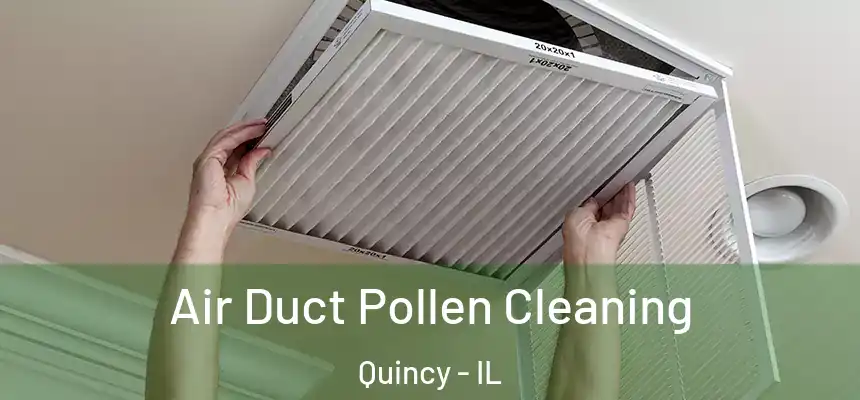  Air Duct Pollen Cleaning Quincy - IL