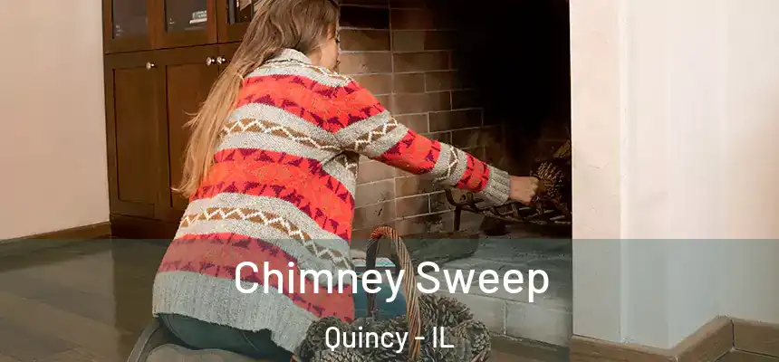  Chimney Sweep Quincy - IL