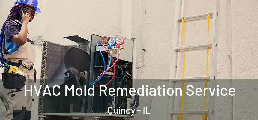  HVAC Mold Remediation Service Quincy - IL
