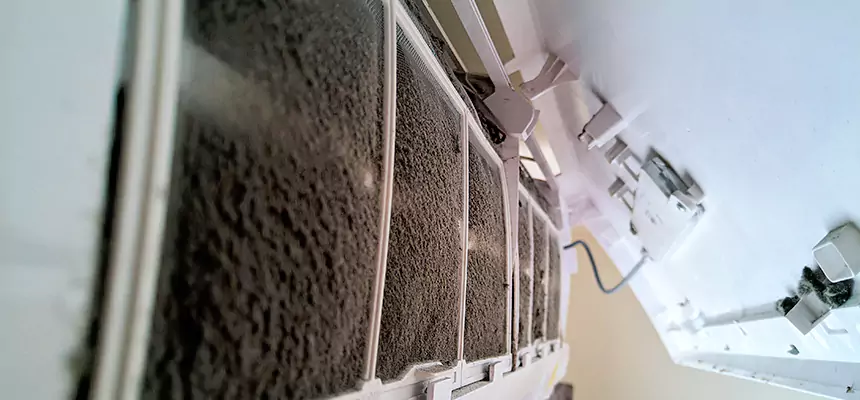 Preventive Air Duct Bacteria Removal in Quincy