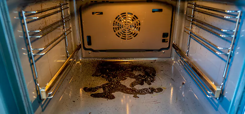 Our Dryer Vent Mold Cleaning Services in Quincy, IL