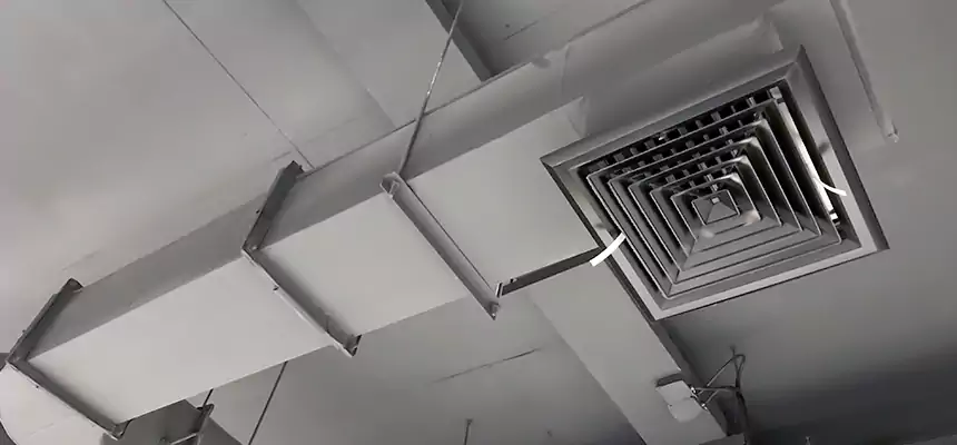 Our Pest Removal From Ducts Services in Quincy, IL