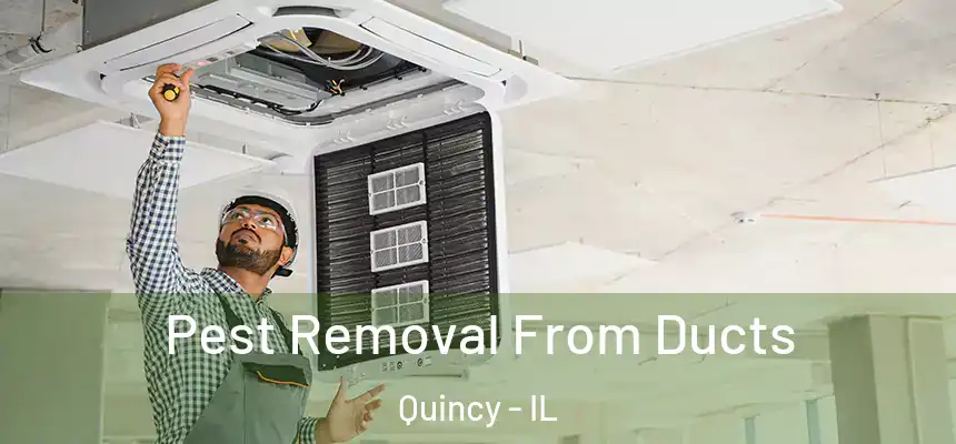  Pest Removal From Ducts Quincy - IL