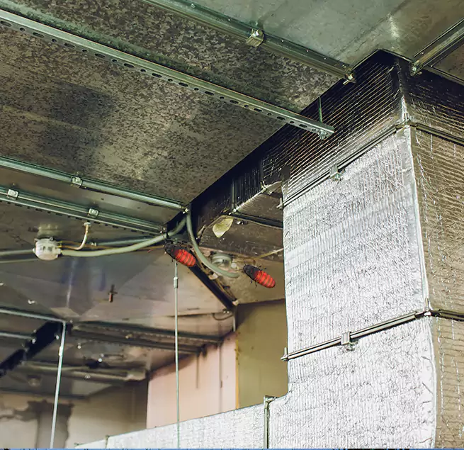 Why Homeowners & Businesses Trust Us in Quincy, IL?