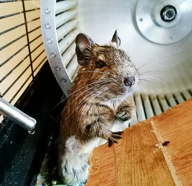 Why Homeowners & Businesses Trust Us Quincy, IL