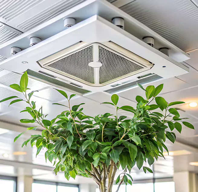 Why Homeowners & Businesses Trust Us in Quincy, IL?