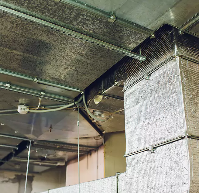 Why Homeowners & Businesses Trust Us in Quincy, IL?